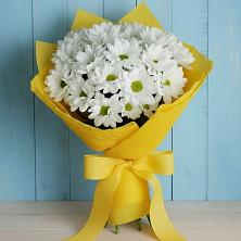 Букет цветов из:  Хризантемы в Алферово