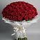 Букет 101 Красная роза Блэк Мэджик в Алферово