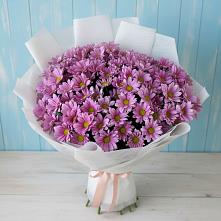 Букет цветов из:  Хризантемы в Алферово