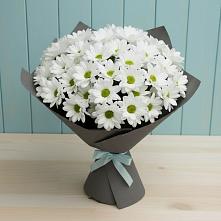Букет цветов из:  Хризантемы #REPLACE_PRED# Алферово