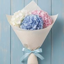 Букет цветов из:  Гортензия в Алферово