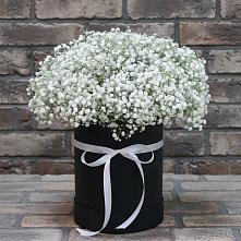 Цветочная композиция из Гипсофила в шляпной коробке в Алферово