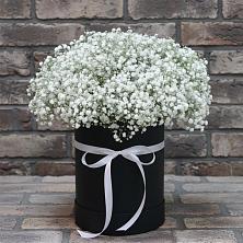 Цветочная композиция из Гипсофила в шляпной коробке в Алферово