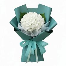 Букет Лёгкое облако #REPLACE_PRED# Алферово Букет цветов из:  Гортензия #REPLACE_PRED# Алферово